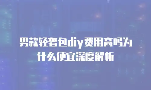 男款轻奢包diy费用高吗为什么便宜深度解析