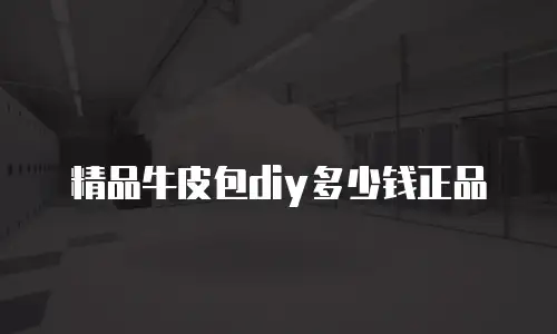 精品牛皮包diy多少钱正品