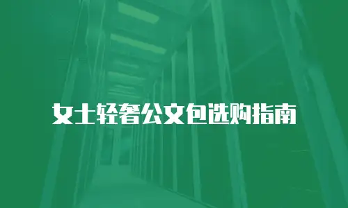 女士轻奢公文包选购指南