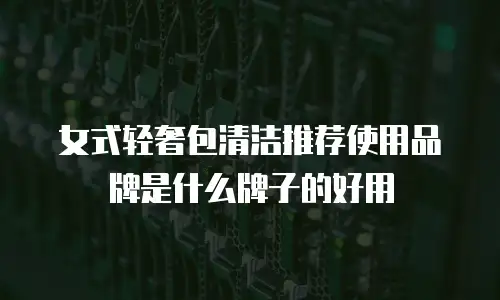 女式轻奢包清洁推荐使用品牌是什么牌子的好用
