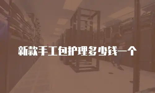 新款手工包护理多少钱一个