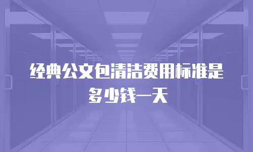 经典公文包清洁费用标准是多少钱一天