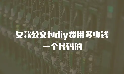 女款公文包diy费用多少钱一个尺码的