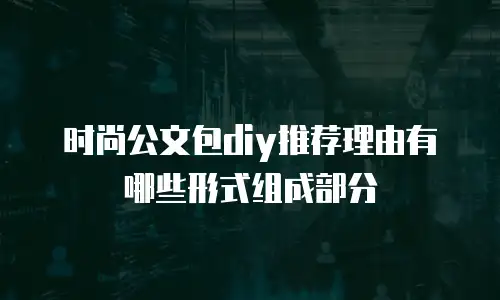 时尚公文包diy推荐理由有哪些形式组成部分
