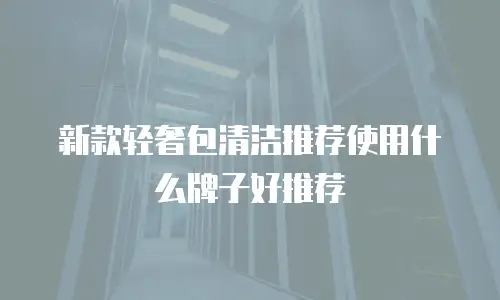 新款轻奢包清洁推荐使用什么牌子好推荐
