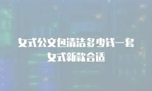 女式公文包清洁多少钱一套女式新款合适