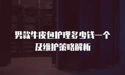 男款牛皮包护理多少钱一个及维护策略解析
