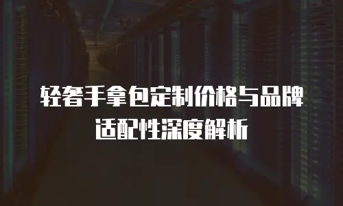 轻奢手拿包定制价格与品牌适配性深度解析