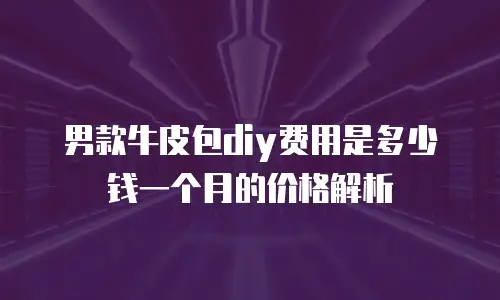 男款牛皮包diy费用是多少钱一个月的价格解析