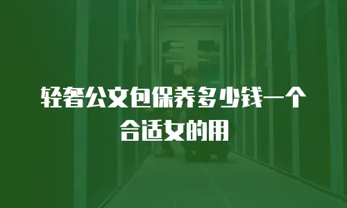轻奢公文包保养多少钱一个合适女的用