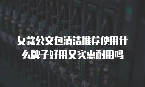 女款公文包清洁推荐使用什么牌子好用又实惠耐用吗