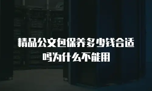 精品公文包保养多少钱合适吗为什么不能用