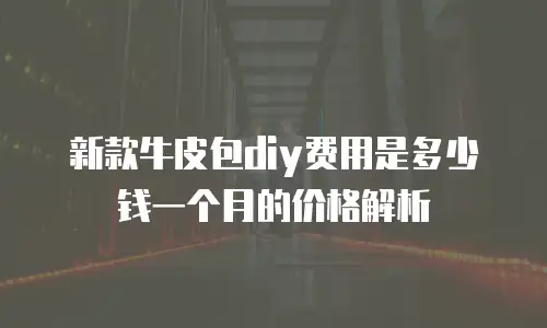 新款牛皮包diy费用是多少钱一个月的价格解析