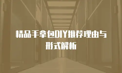 精品手拿包DIY推荐理由与形式解析
