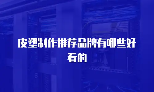皮塑制作推荐品牌有哪些好看的