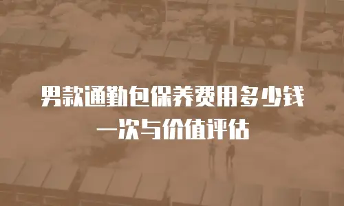 男款通勤包保养费用多少钱一次与价值评估