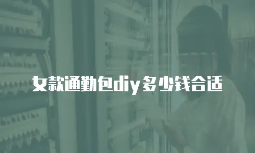 女款通勤包diy多少钱合适