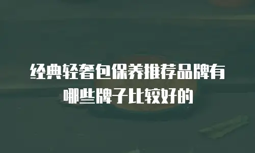经典轻奢包保养推荐品牌有哪些牌子比较好的