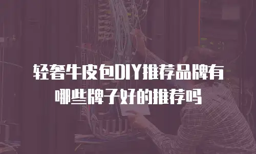 轻奢牛皮包DIY推荐品牌有哪些牌子好的推荐吗