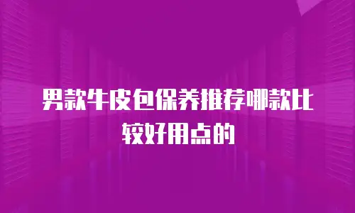 男款牛皮包保养推荐哪款比较好用点的