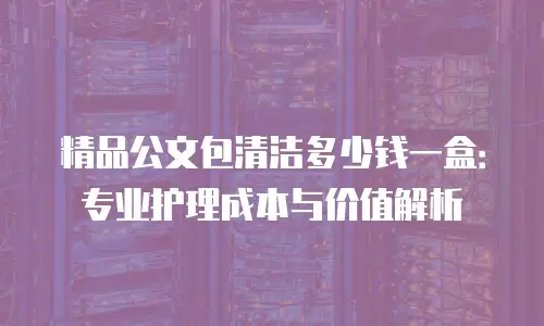 精品公文包清洁多少钱一盒：专业护理成本与价值解析