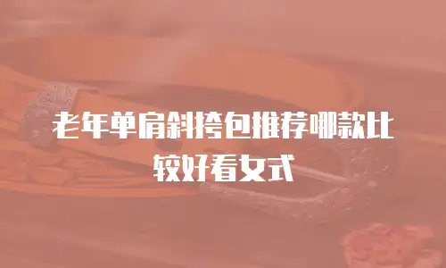 老年单肩斜挎包推荐哪款比较好看女式