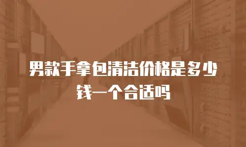 男款手拿包清洁价格是多少钱一个合适吗