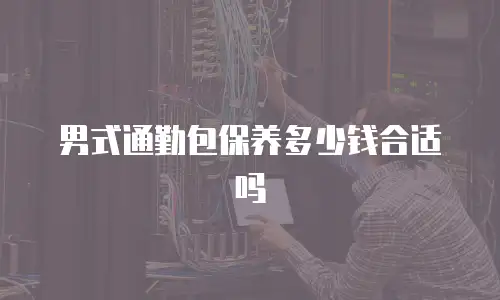 男式通勤包保养多少钱合适吗