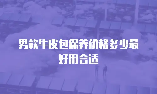 男款牛皮包保养价格多少最好用合适