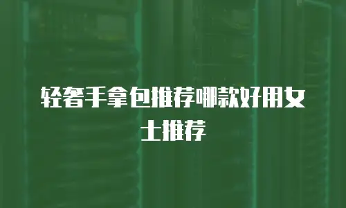 轻奢手拿包推荐哪款好用女士推荐