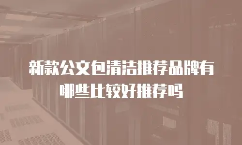 新款公文包清洁推荐品牌有哪些比较好推荐吗