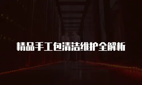 精品手工包清洁维护全解析