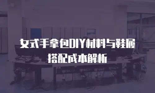 女式手拿包DIY材料与鞋履搭配成本解析