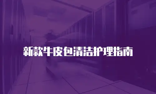 新款牛皮包清洁护理指南