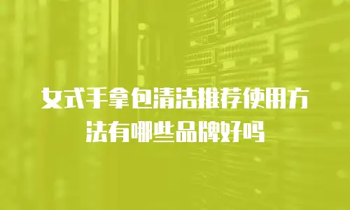 女式手拿包清洁推荐使用方法有哪些品牌好吗