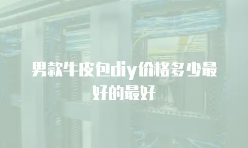 男款牛皮包diy价格多少最好的最好