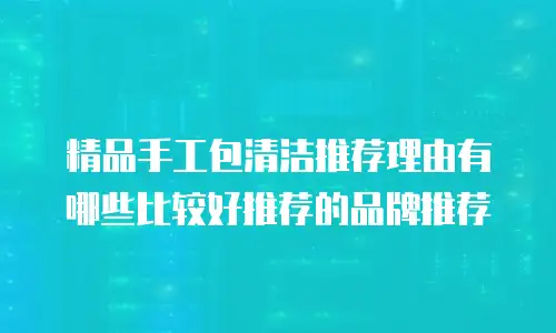 精品手工包清洁推荐理由有哪些比较好推荐的品牌推荐
