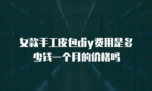 女款手工皮包diy费用是多少钱一个月的价格吗