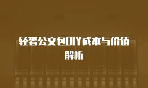 轻奢公文包DIY成本与价值解析