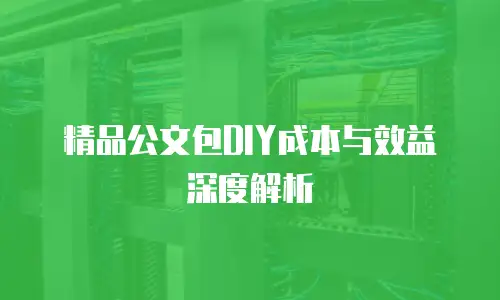 精品公文包DIY成本与效益深度解析