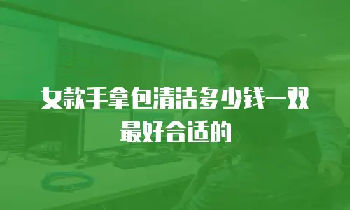 女款手拿包清洁多少钱一双最好合适的