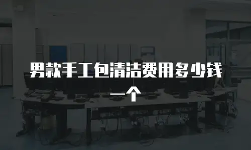 男款手工包清洁费用多少钱一个
