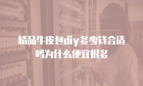 精品牛皮包diy多少钱合适吗为什么便宜很多