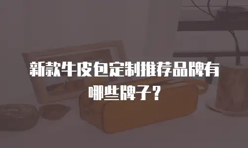 新款牛皮包定制推荐品牌有哪些牌子？