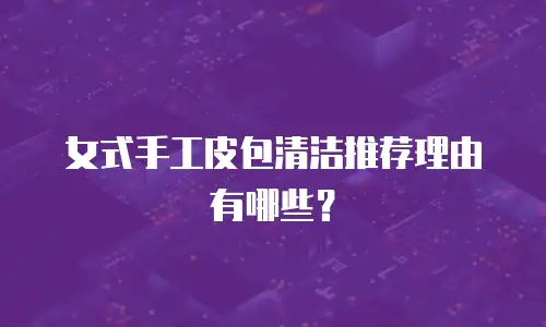 女式手工皮包清洁推荐理由有哪些？