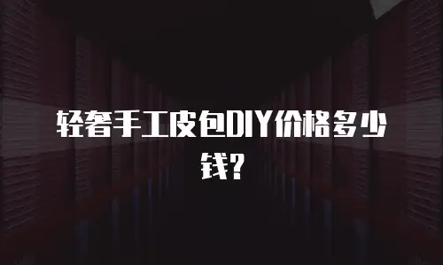 轻奢手工皮包DIY价格多少钱？