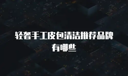 轻奢手工皮包清洁推荐品牌有哪些