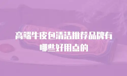 高端牛皮包清洁推荐品牌有哪些好用点的