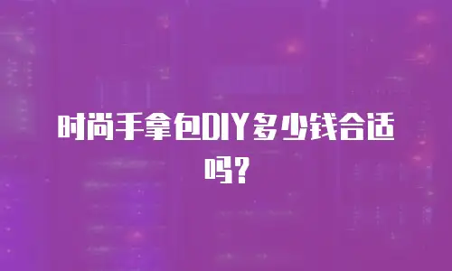 时尚手拿包DIY多少钱合适吗？