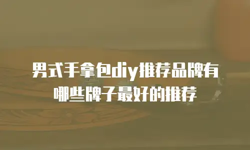 男式手拿包diy推荐品牌有哪些牌子最好的推荐